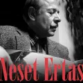 Neşet Ertaş Anma Konseri