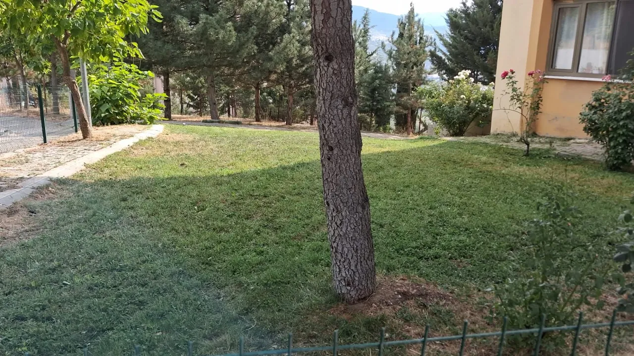 Çim biçme çalışmaları