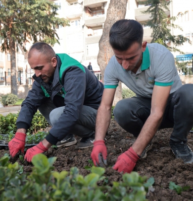 PARK VE BAHÇELER ŞEHRİN HER NOKTASINDA KESİNTİSİZ ÇALIŞMA DEVAM EDİYOR